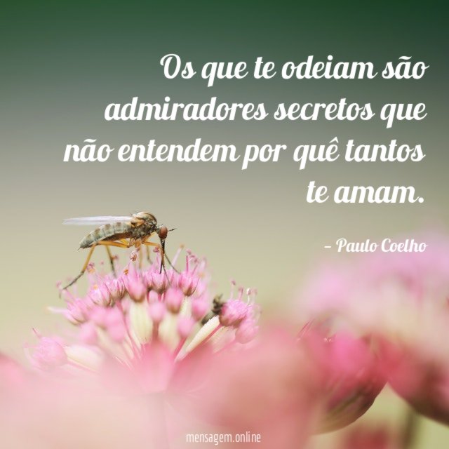Os que te odeiam são admiradores secretos que