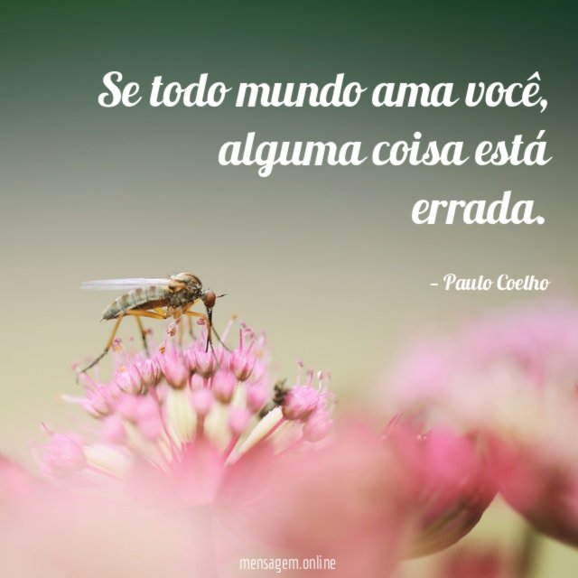 Se todo mundo ama você