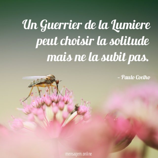 Un Guerrier de la Lumiere peut choisir la