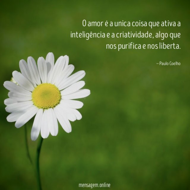 O amor é a unica coisa que ativa