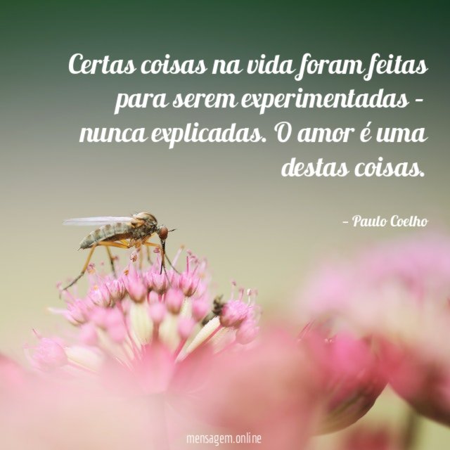 Certas coisas na vida foram feitas para serem experimentadas – nunca explicadas