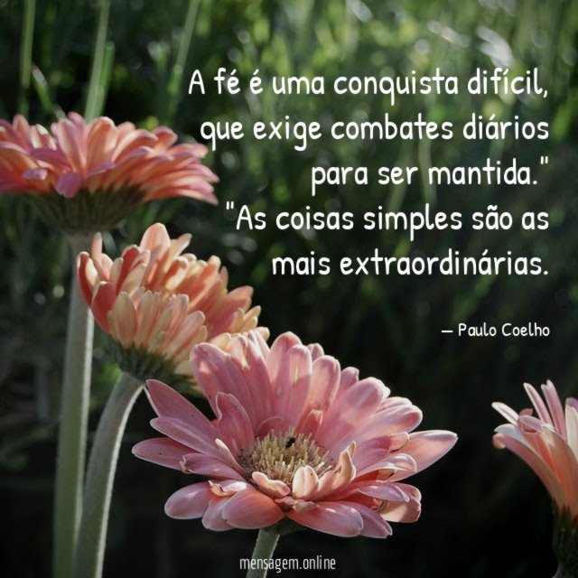 "A fé é uma conquista difícil, que exige combates diários para ser mantida."