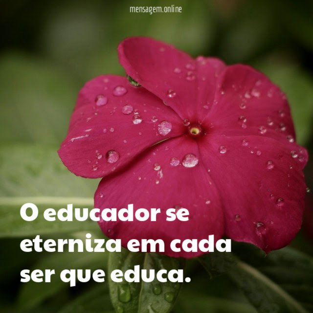 O educador se eterniza em cada ser que educa