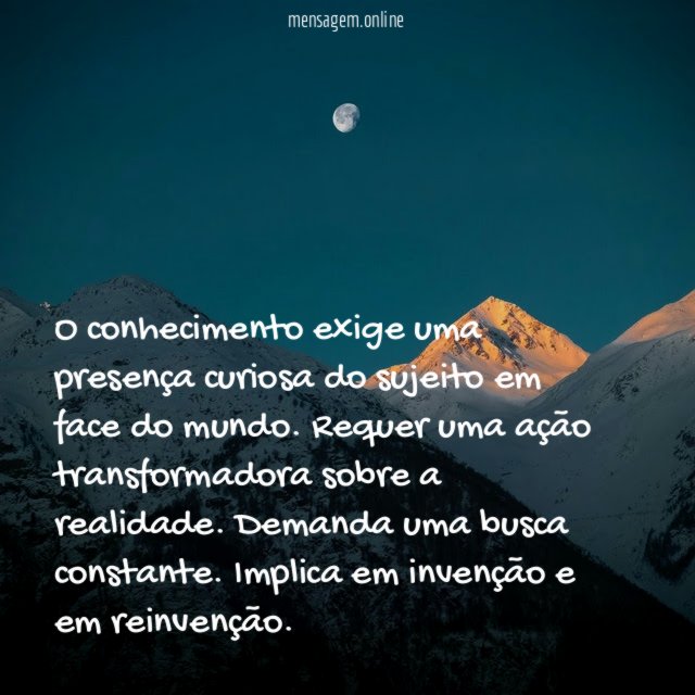 O conhecimento exige uma presença curiosa do sujeito