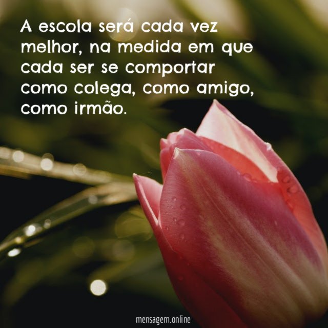 A escola será cada vez melhor