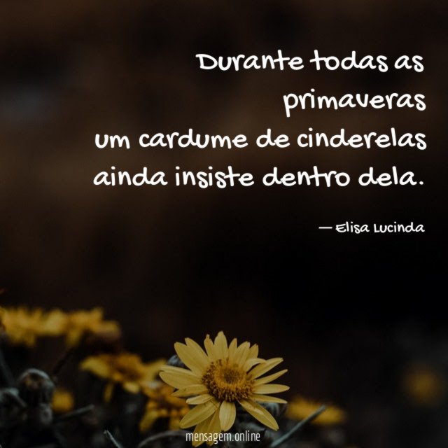Durante todas as primaveras um cardume de cinderelas ainda insiste dentro dela