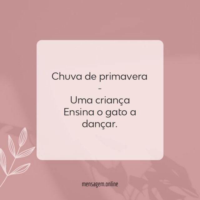 Chuva de primavera - Uma criança Ensina o gato a