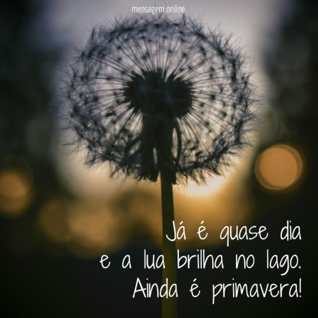 Já é quase dia e a lua brilha no lago