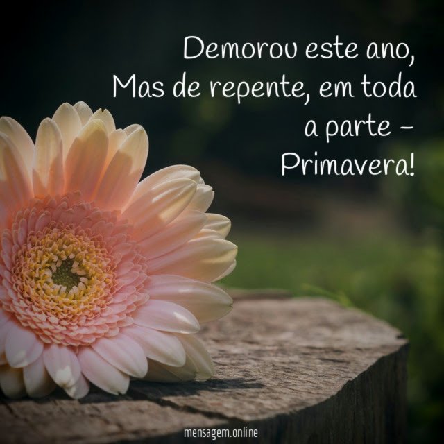 Demorou este ano