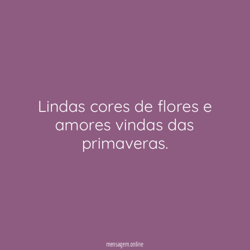 Lindas cores de flores e amores vindas das primaveras
