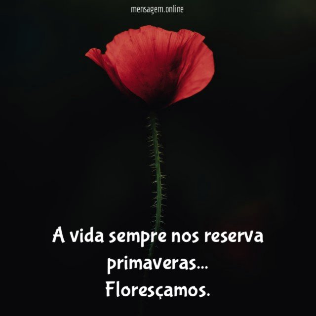 A vida sempre nos reserva primaveras