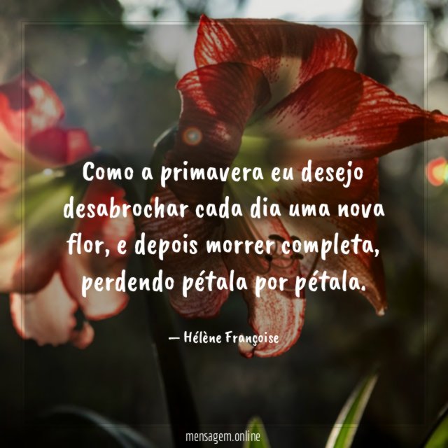 Como a primavera eu desejo desabrochar cada dia uma nova flor