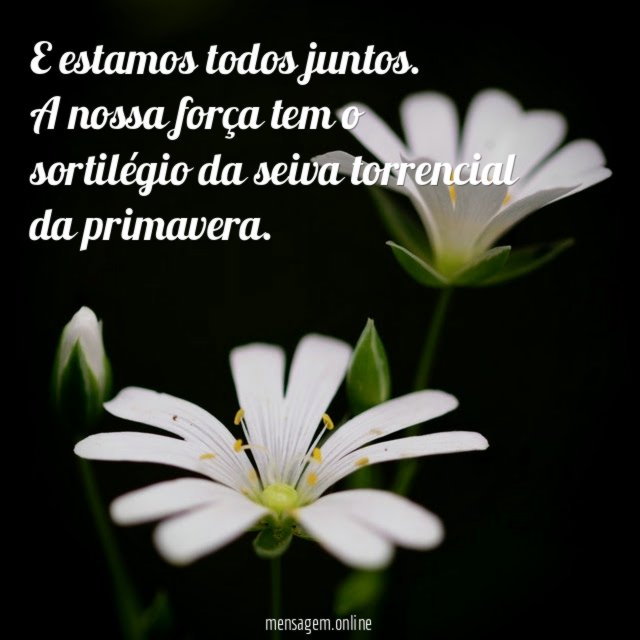 E estamos todos juntos