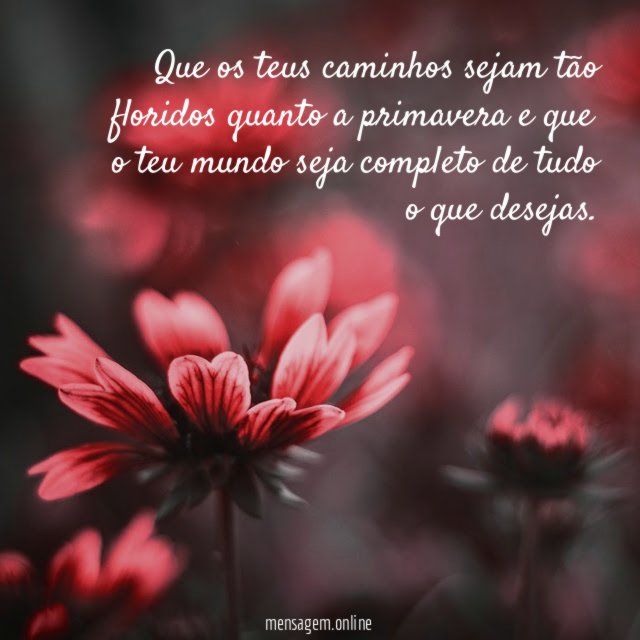 Que os teus caminhos sejam tão floridos quanto