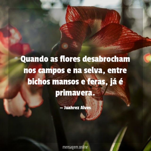 Quando as flores desabrocham nos campos e na selva
