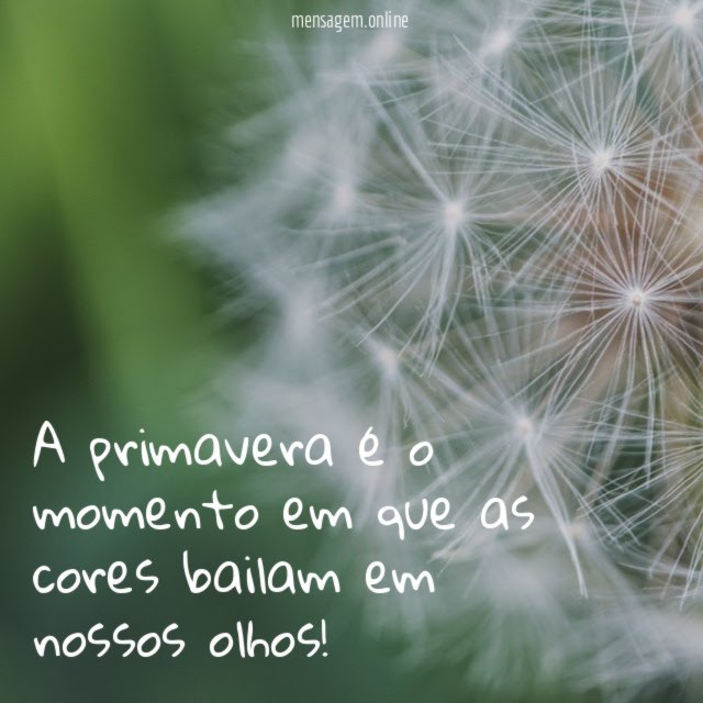A primavera é o momento em que as cores bailam em nossos olhos