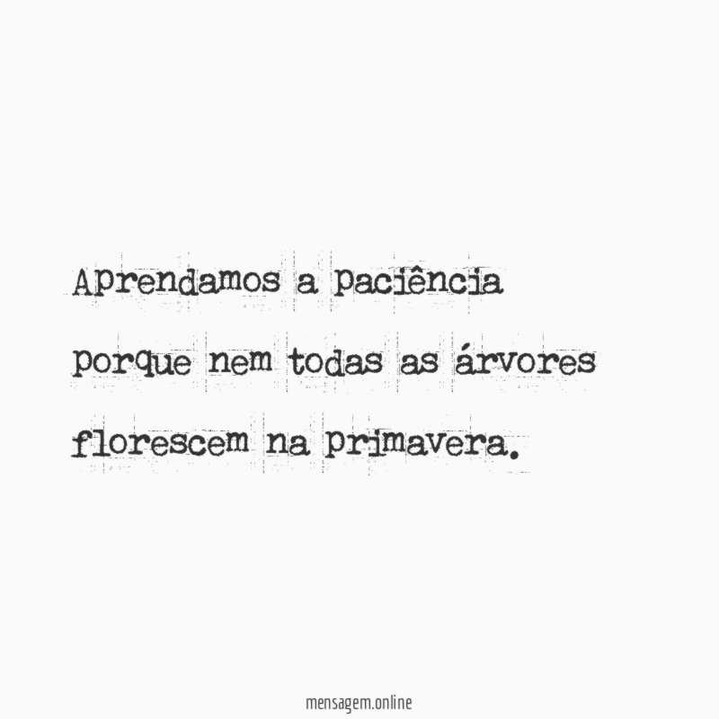 Aprendamos a paciência porque nem todas as árvores florescem na primavera