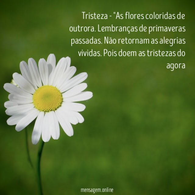 Tristeza - "As flores coloridas de outrora