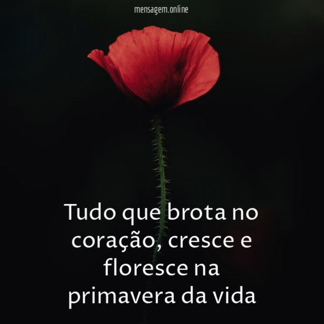 Tudo que brota no coração