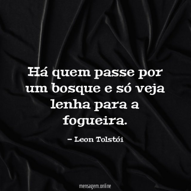 Há quem passe por um bosque e só