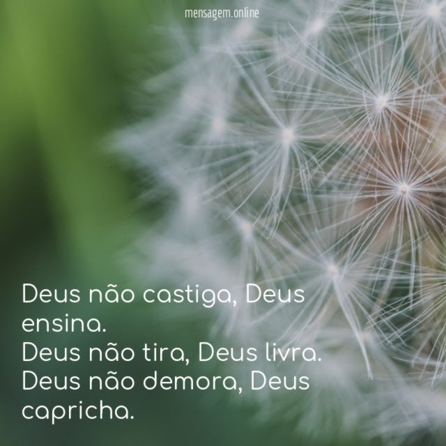 Deus não castiga