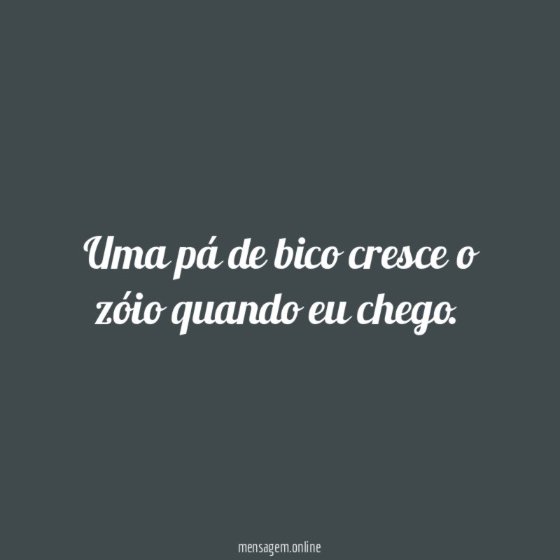 Uma pá de bico cresce o zóio quando eu chego