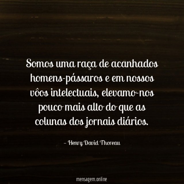 Somos uma raça de acanhados homens-pássaros e em