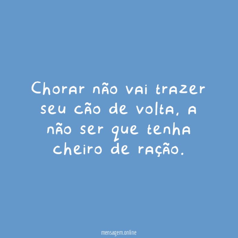 Chorar não vai trazer seu cão de volta