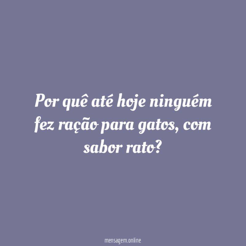 Por quê até hoje ninguém fez ração para gatos