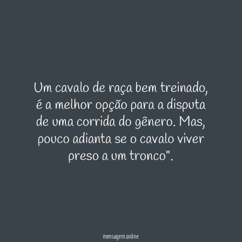 Um cavalo de raça bem treinado
