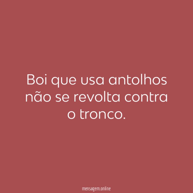Boi que usa antolhos não se revolta contra o tronco