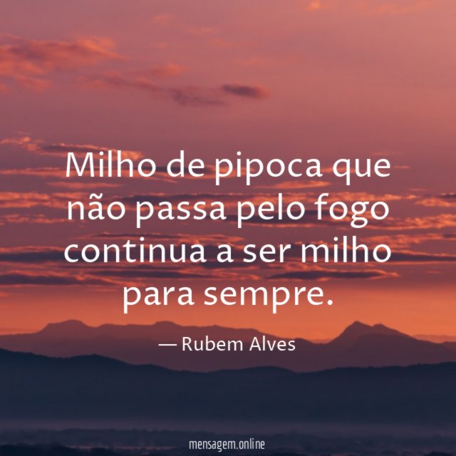Milho de pipoca que não passa pelo fogo