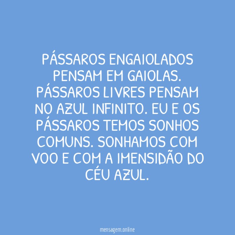 Pássaros engaiolados pensam em gaiolas