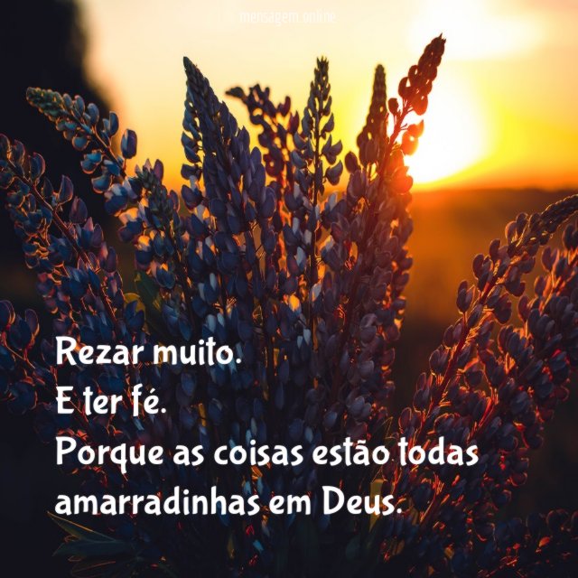 Rezar muito