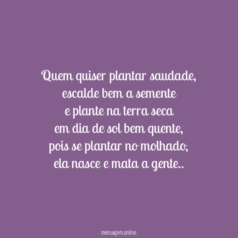 Quem quiser plantar saudade