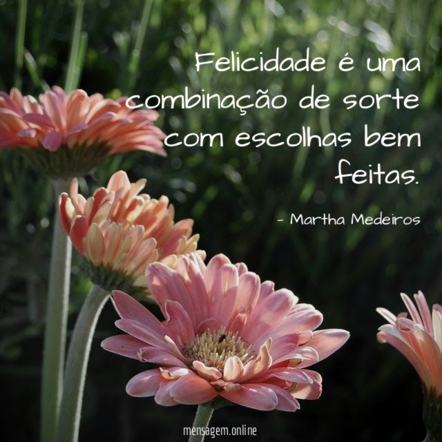 Felicidade é uma combinação de sorte com escolhas bem feitas