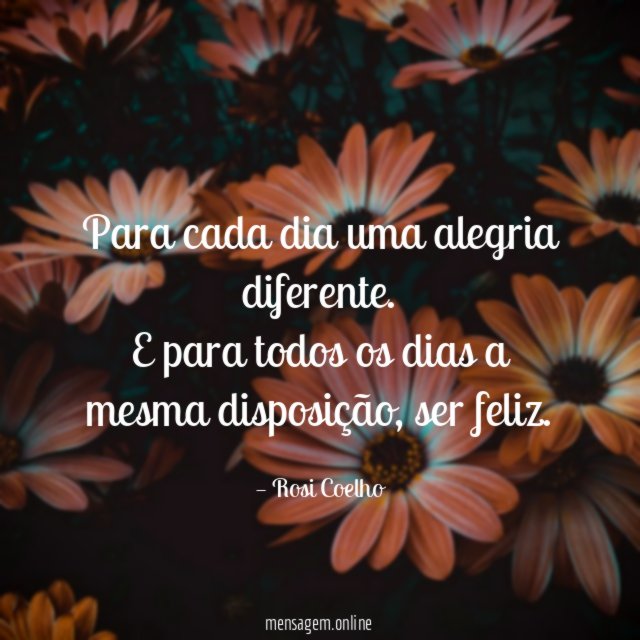 Para cada dia uma alegria diferente