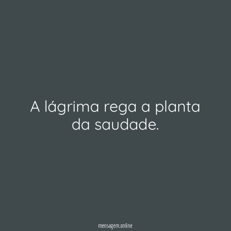A lágrima rega a planta da saudade
