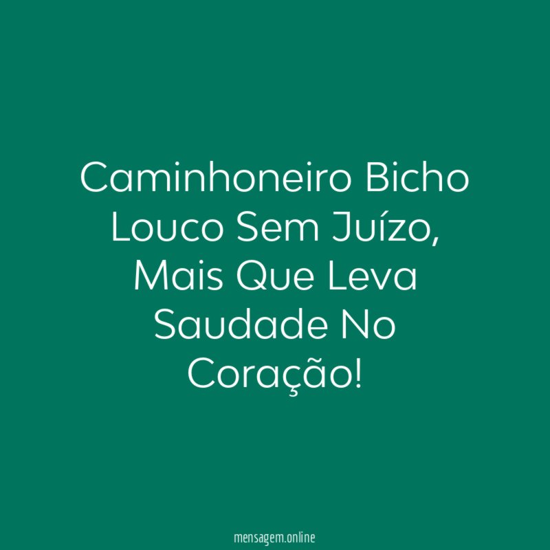Caminhoneiro Bicho Louco Sem Juízo