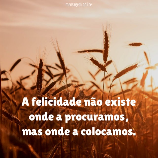 A felicidade não existe onde a procuramos