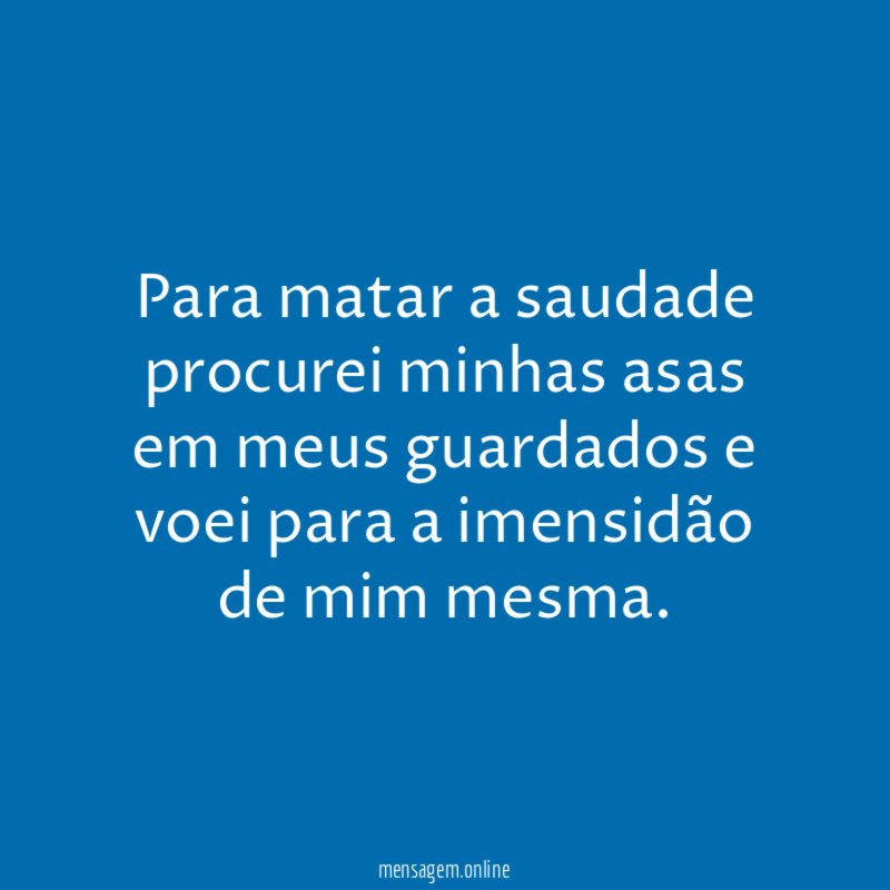 Para matar a saudade procurei minhas asas em