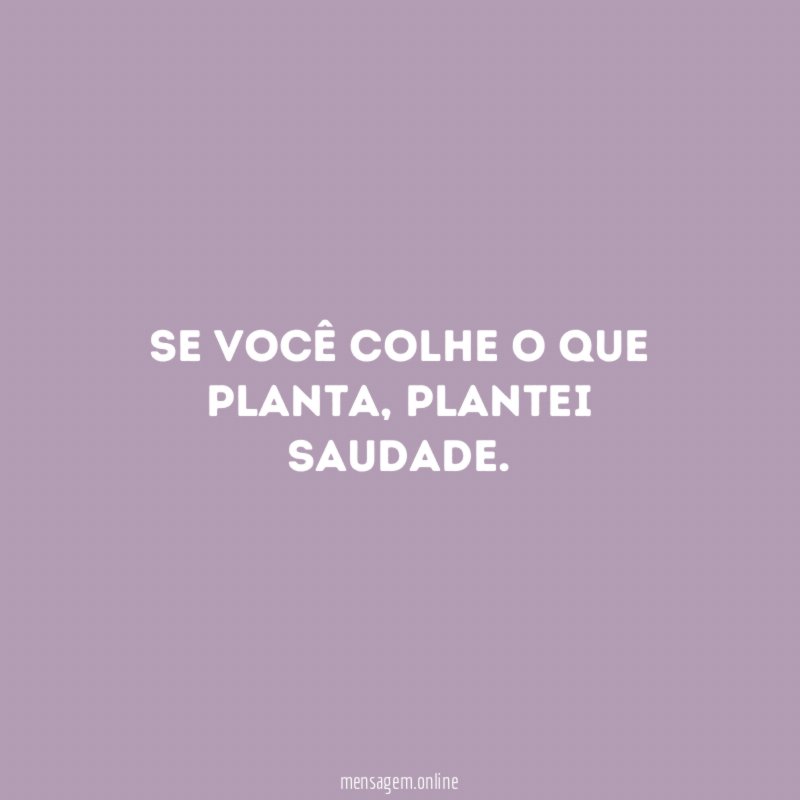 Se você colhe o que planta