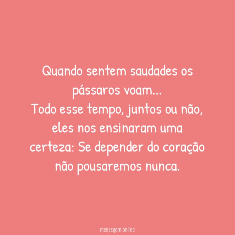 Quando sentem saudades os pássaros voam