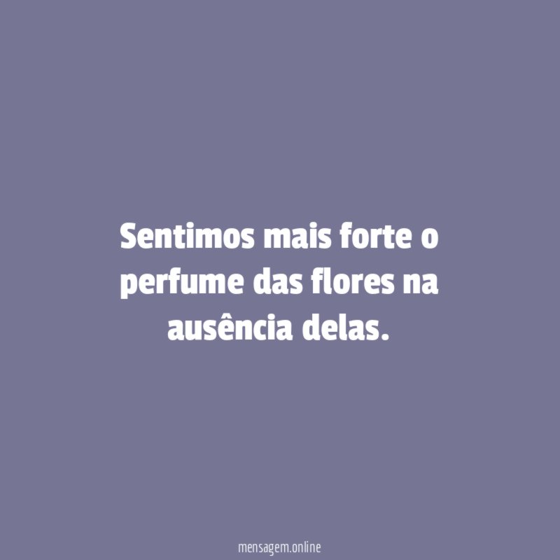 Sentimos mais forte o perfume das flores na ausência delas