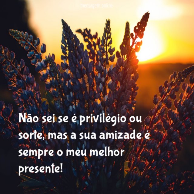 Não sei se é privilégio ou sorte