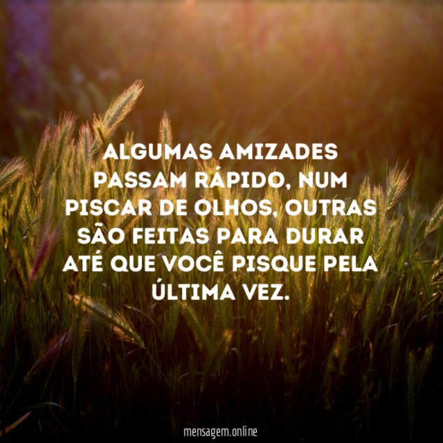 Algumas amizades passam rápido