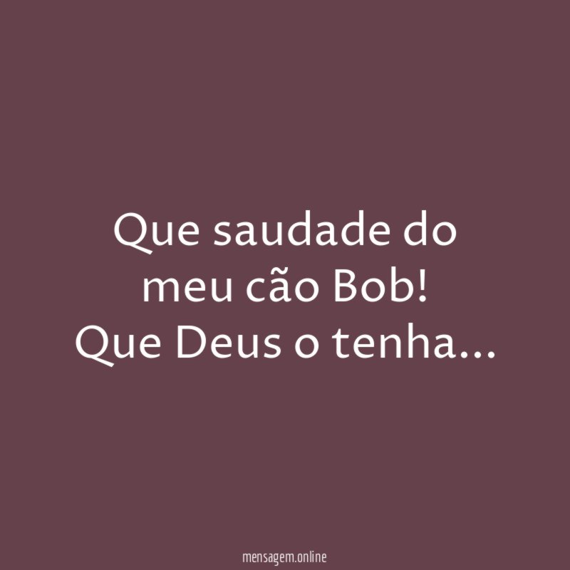 Que saudade do meu cão Bob