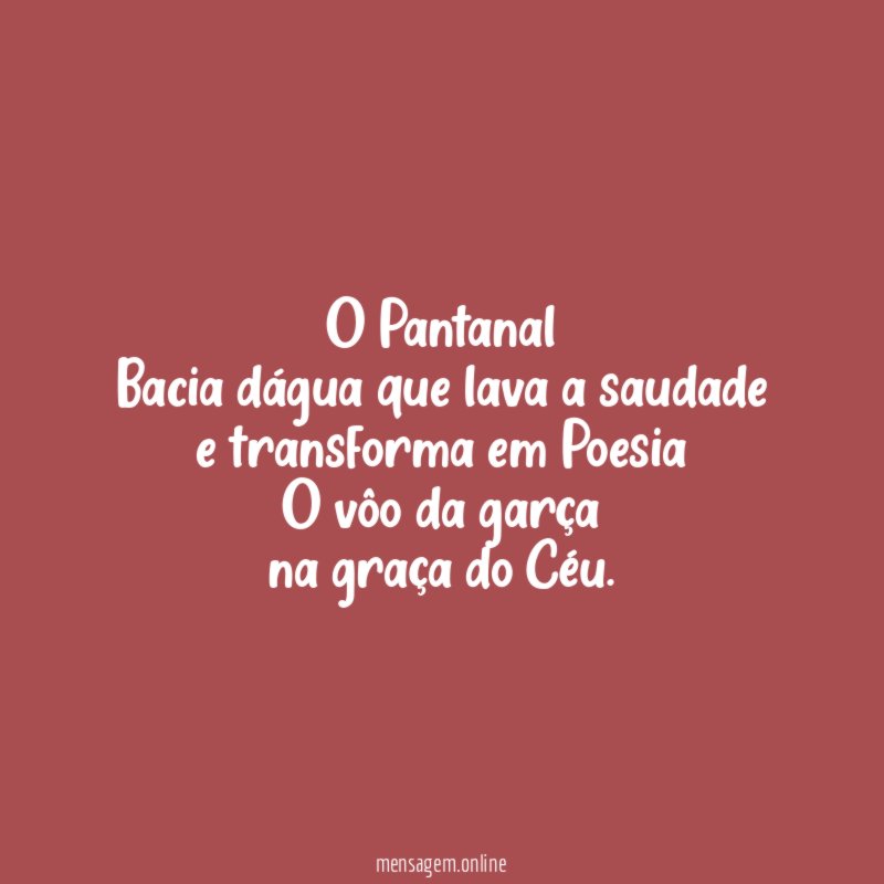 O Pantanal