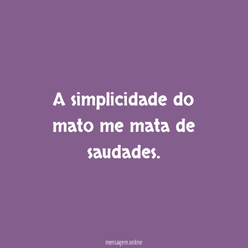 A simplicidade do mato me mata de saudades