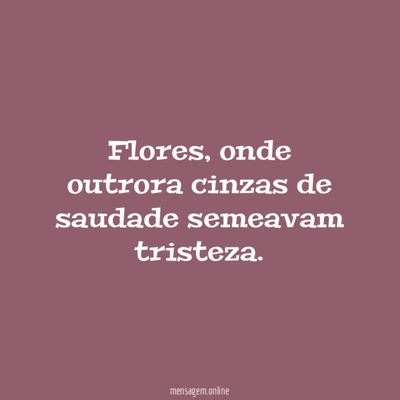 Flores